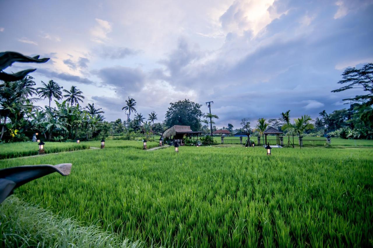 Anumana Village Ubud Luaran gambar