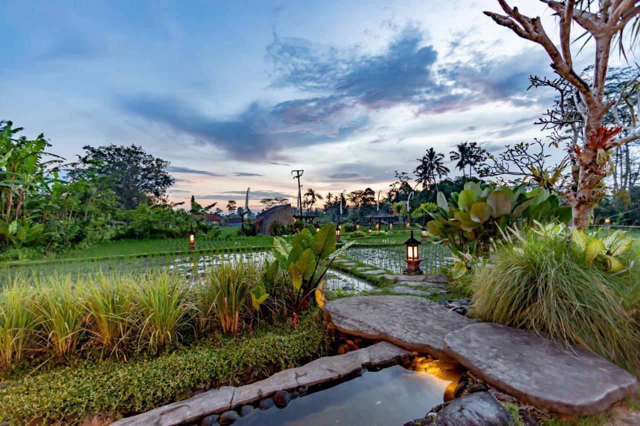 Anumana Village Ubud Luaran gambar