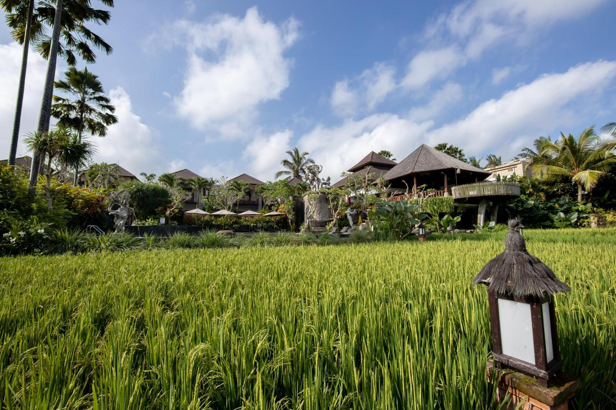 Anumana Village Ubud Luaran gambar